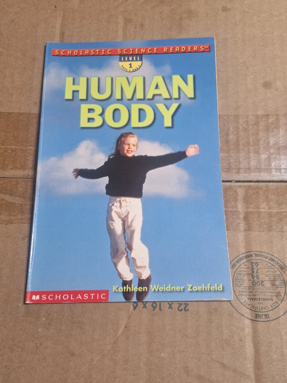 human body level 1